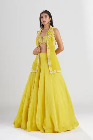 Amalta Lehenga with cover