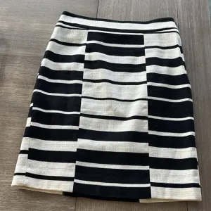 Ann Taylor Petite Pencil Skirt