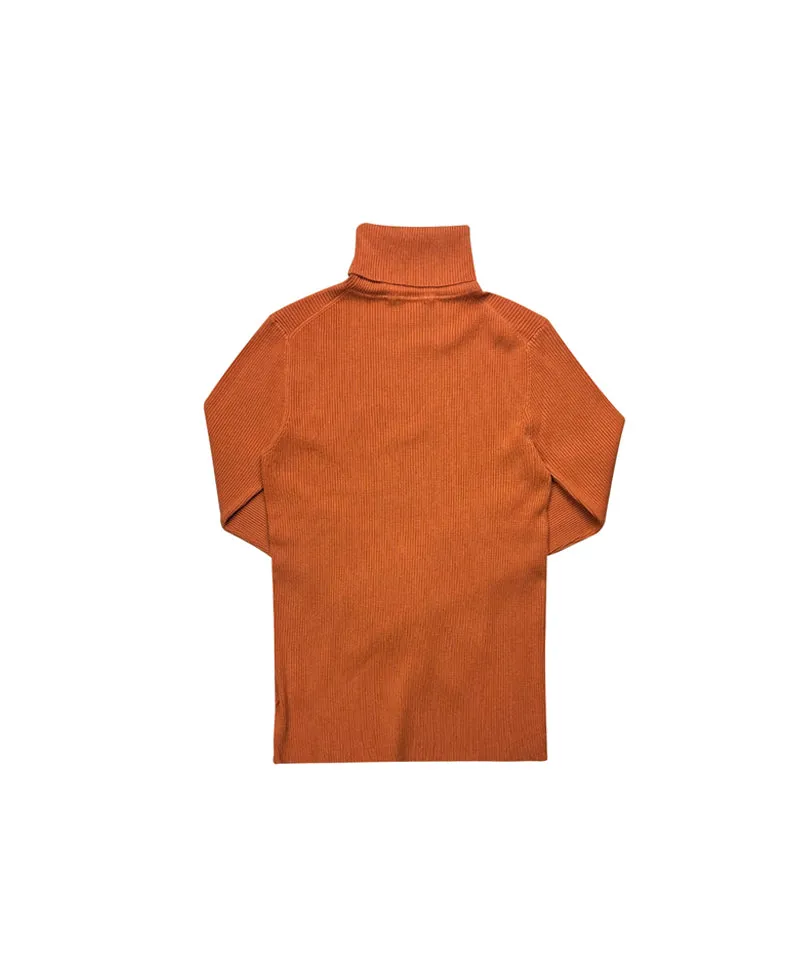 BENECIA 12 Color Ribbed Turtleneck - Orange
