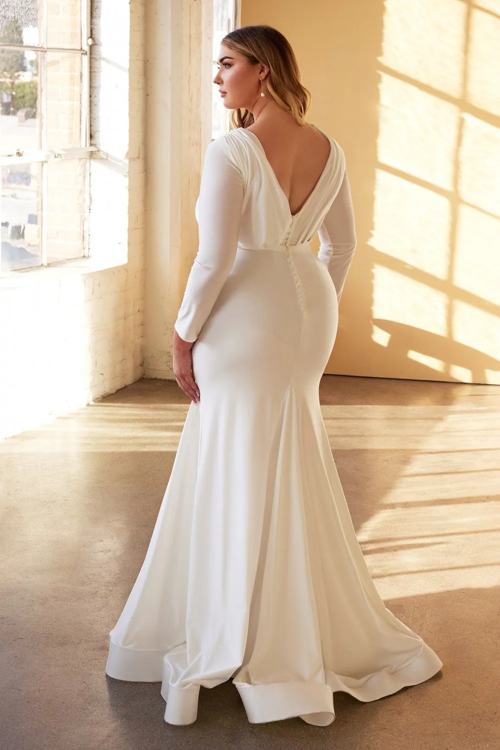 Cinderella Evening Dress CD0169C
