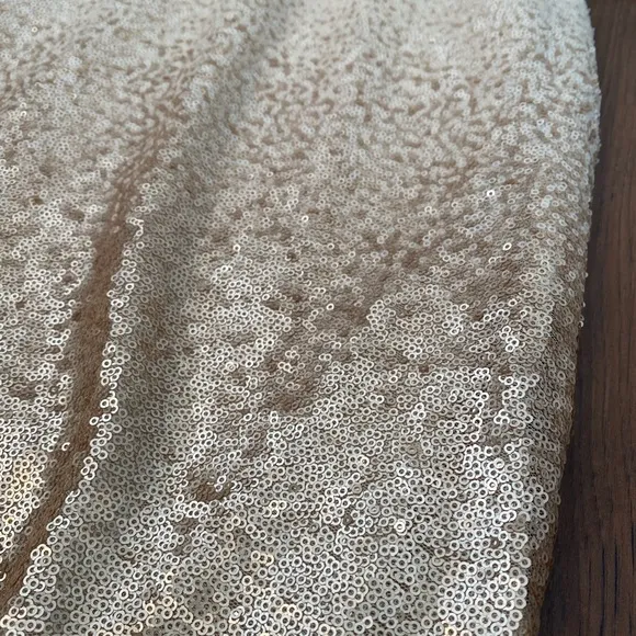 Cremieux Sequin Aida Holiday Ivory Rose Shiny Sequin Ombré Skirt