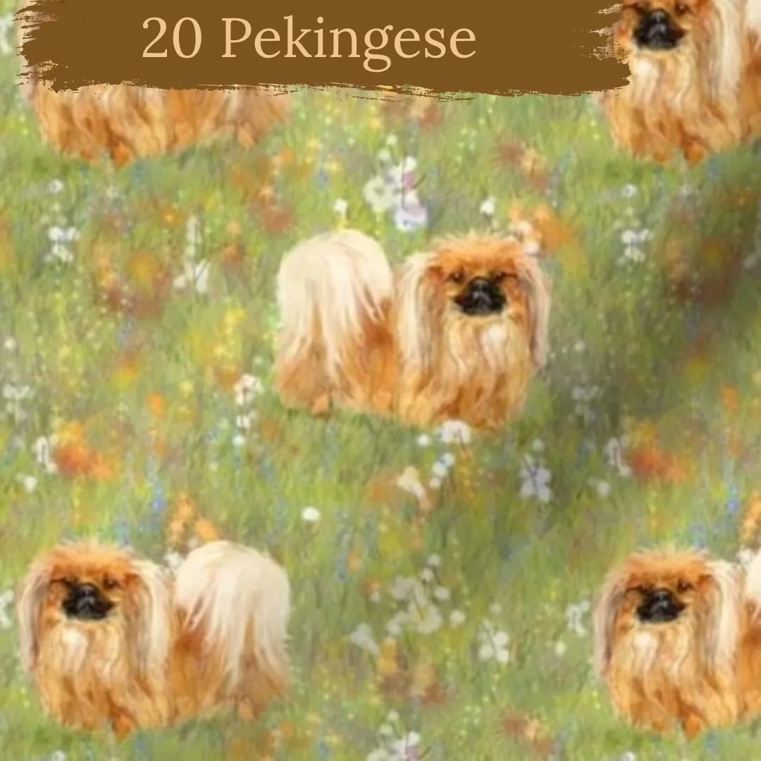 Dog breeds harris tweed topped dress