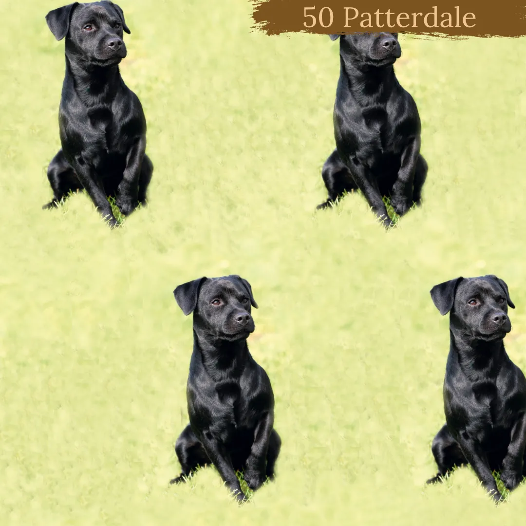 Dog breeds harris tweed topped dress
