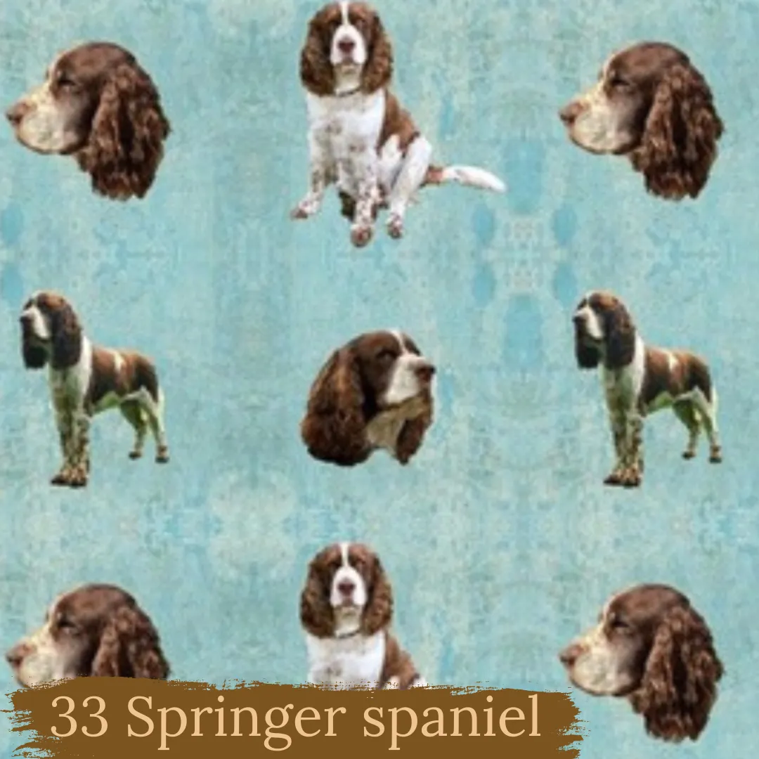 Dog breeds harris tweed topped dress