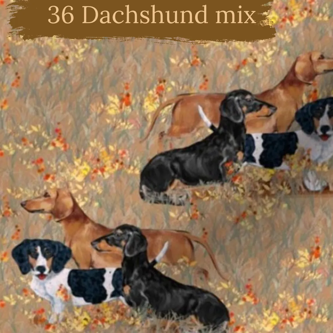 Dog breeds harris tweed topped dress