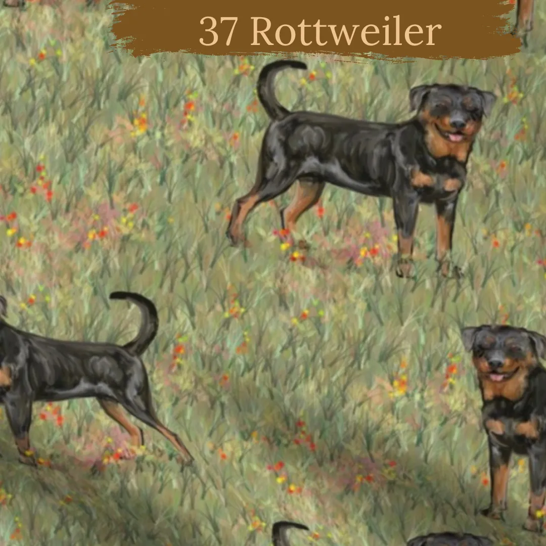Dog breeds harris tweed topped dress