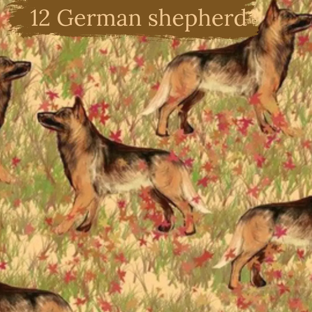 Dog breeds harris tweed topped dress