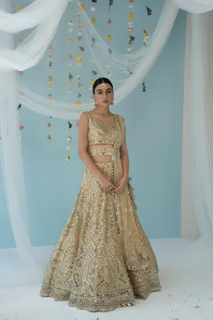 Gold Net Lehenga Set