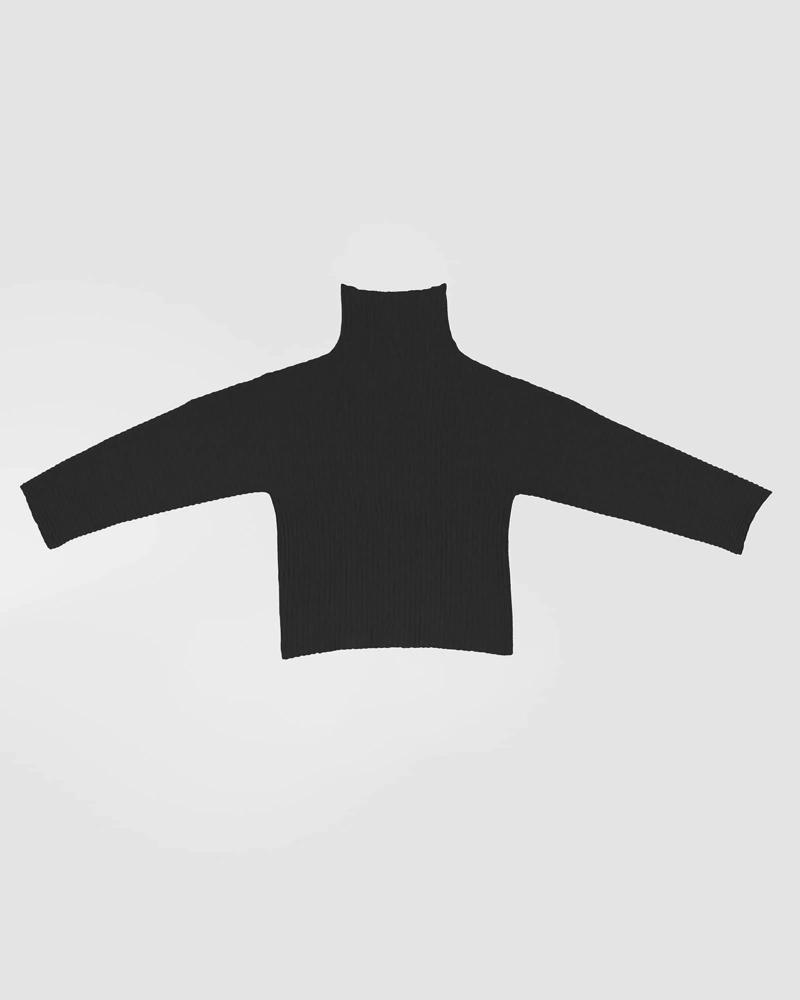 Kai Turtleneck