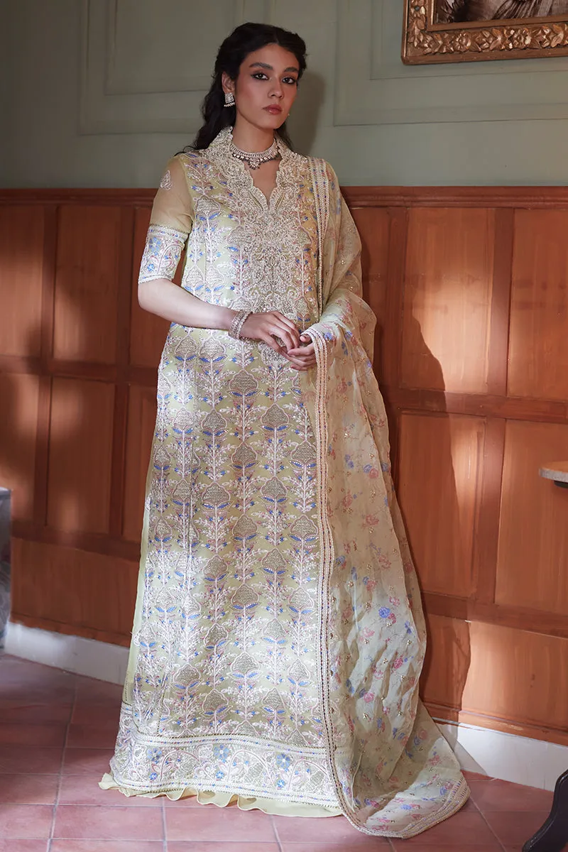 MUSHQ | Qala - Kamdaani Collection '23 | Dina