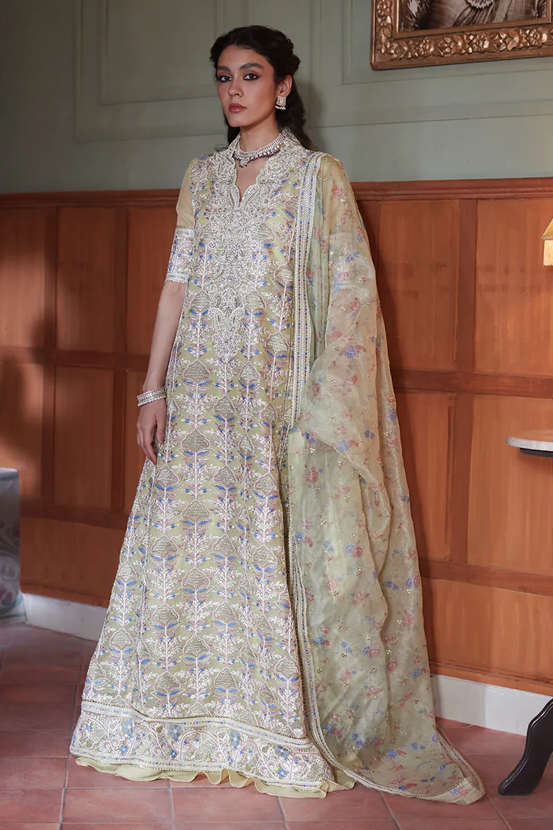 MUSHQ | Qala - Kamdaani Collection '23 | Dina