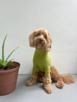 OLIVE TURTLENECK TEE