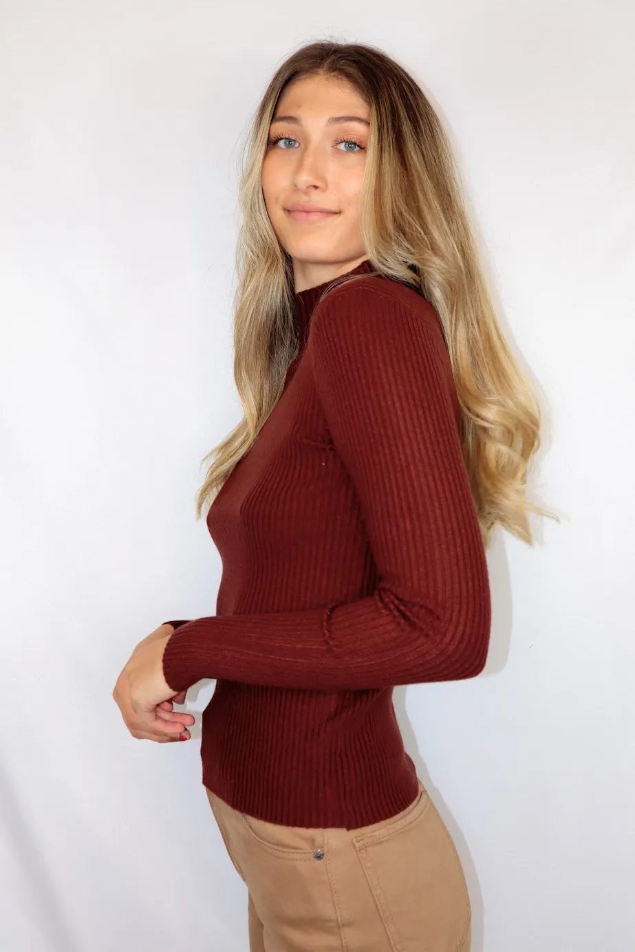 Paige Knit Turtleneck Redwood