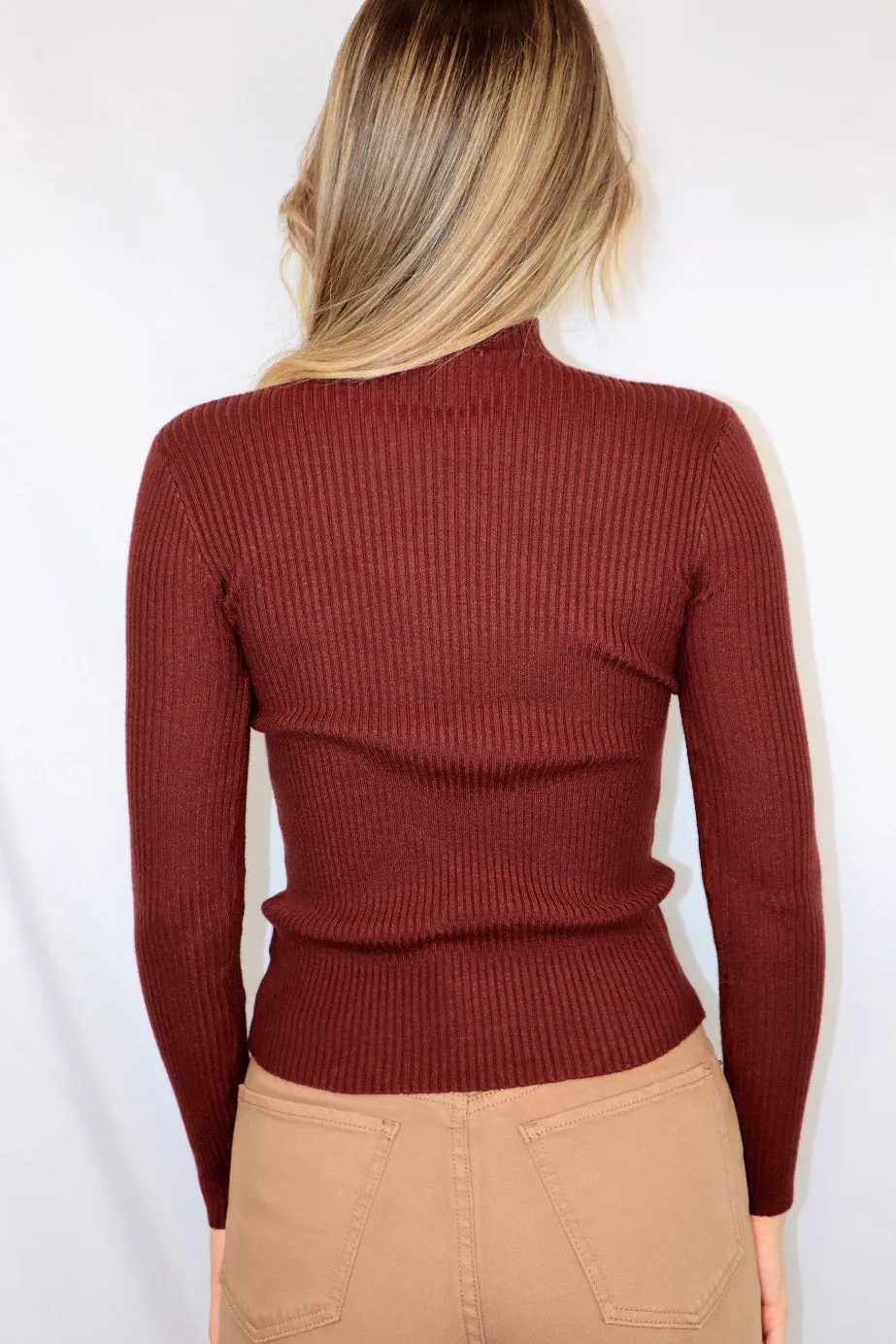Paige Knit Turtleneck Redwood