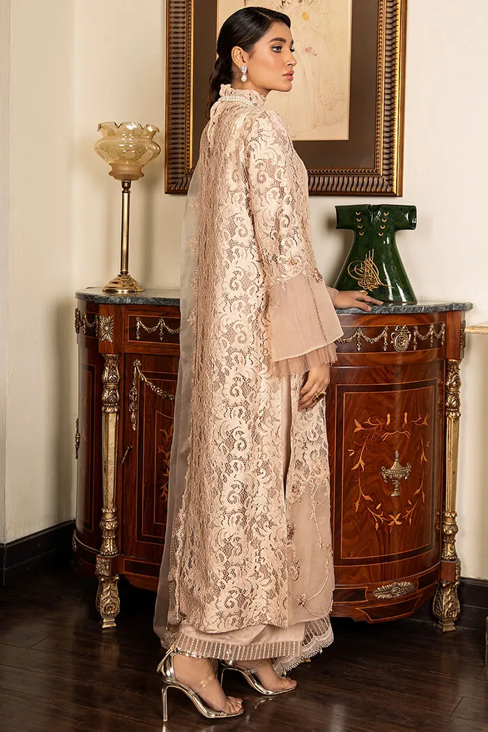 Peach Pakistani Party Dress Design Capri Kameez #PN552
