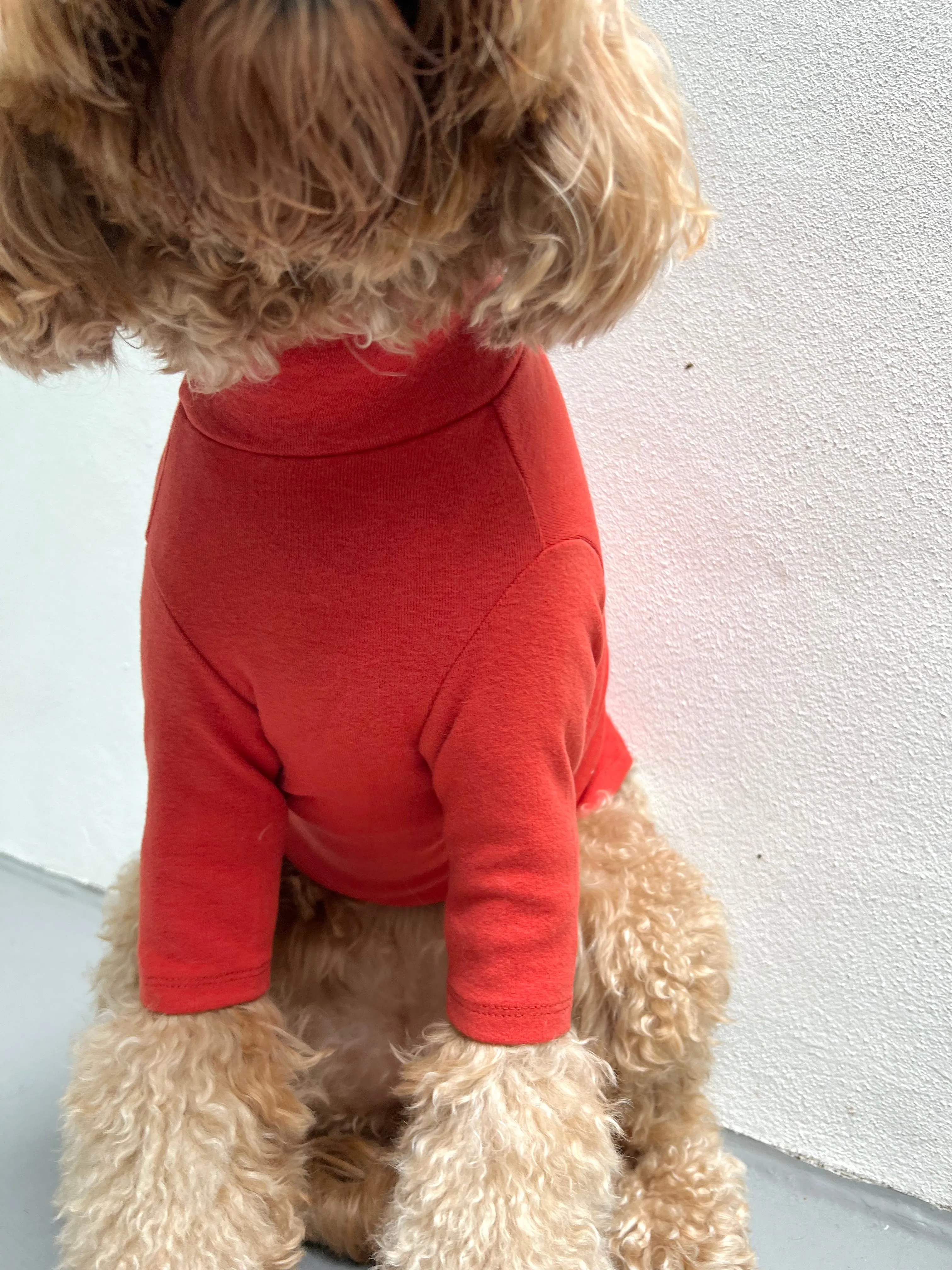 RUST TURTLENECK TEE