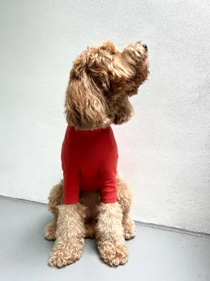 RUST TURTLENECK TEE