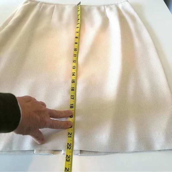 Tahari Arthur S Levine Petite Women’s 12P Cream Skirt Suit, Classic Professional