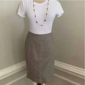 Talbots Blue and Cream Pinstriped Pencil Skirt Size 8P