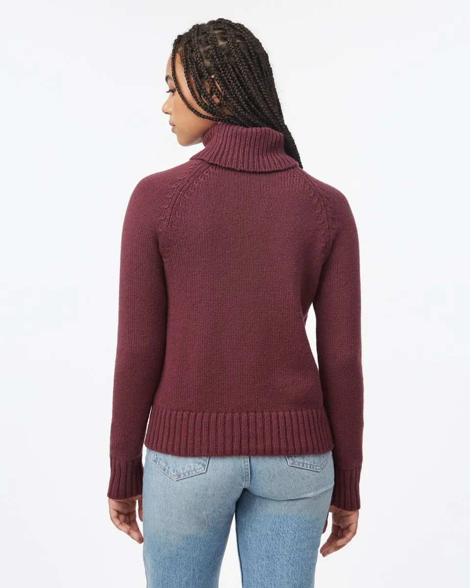 Tentree Highline Wool Turtleneck Sweater