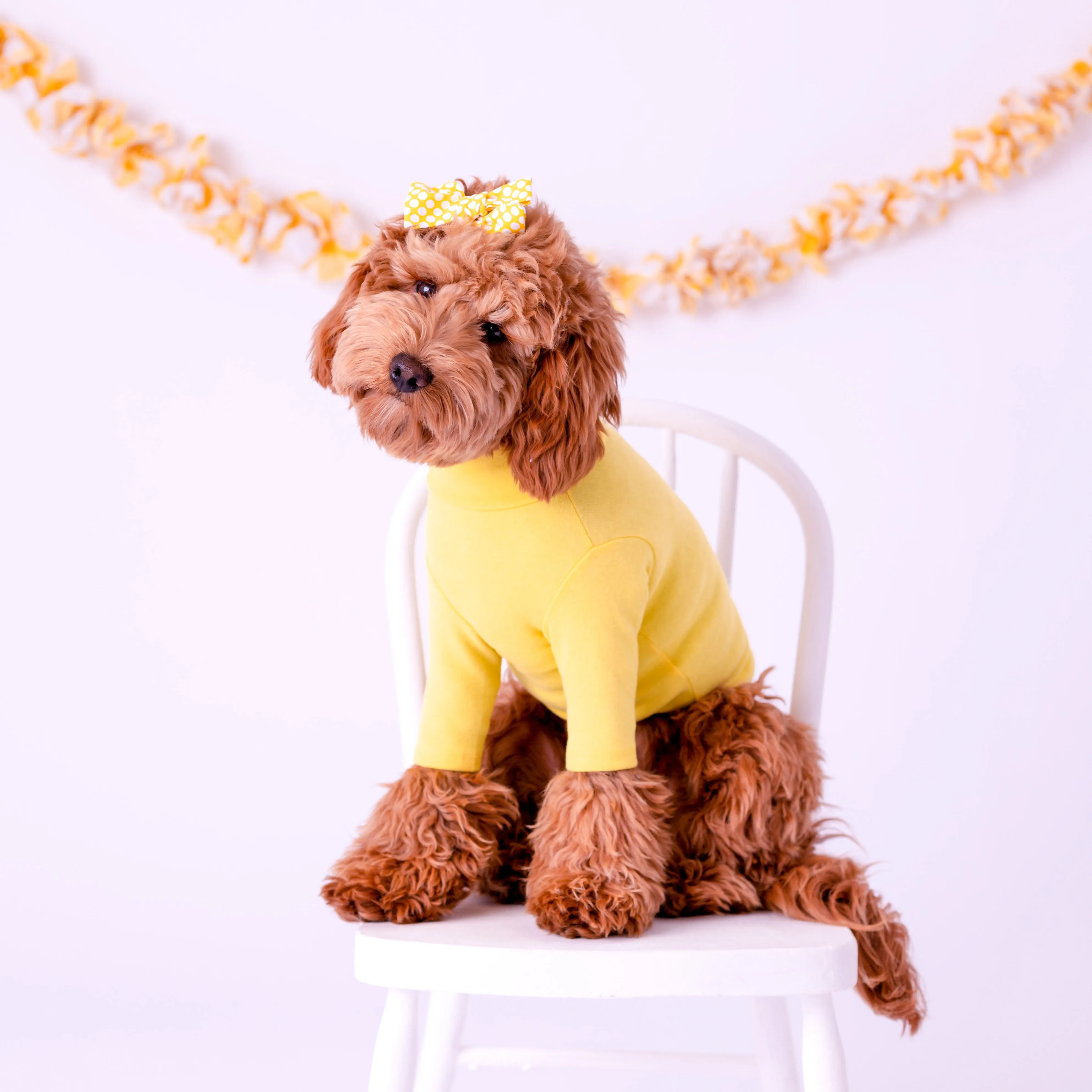 YELLOW TURTLENECK TEE